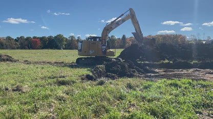 Caterpillar 313FL